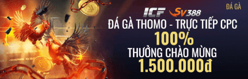 trực tiếp đá gà thomo Vegas79